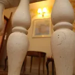 Antunini *